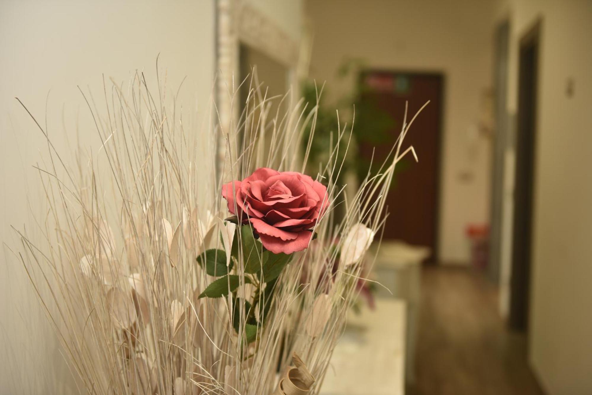 In Terrazza Da Giusy Bed and Breakfast Ρώμη Εξωτερικό φωτογραφία