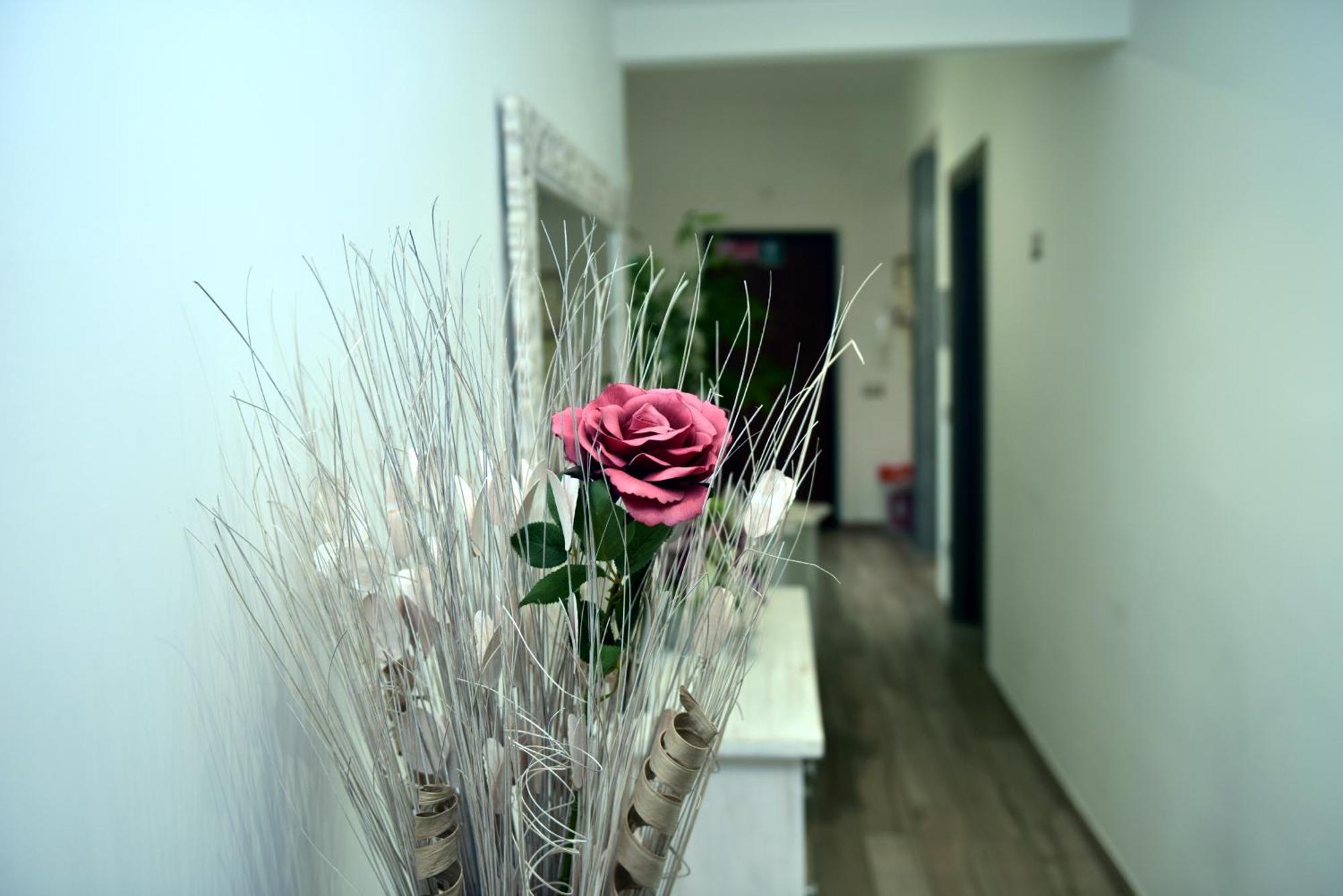 In Terrazza Da Giusy Bed and Breakfast Ρώμη Εξωτερικό φωτογραφία